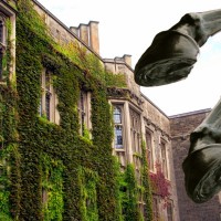 hooves rearing up against an ivy covered University of Toronto building